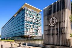 Covid-19 : réunion d'urgence à l'OMS pour faire le point sur les variants