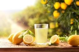 Cure détox au citron : les 3 étapes à connaître