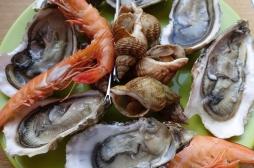 Hépatite A en Italie : les précautions à prendre lors d’un voyage 