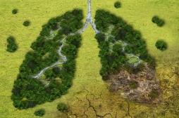 Pollution atmosphérique : “Il ne faut pas penser que l’air à la campagne est moins pollué”