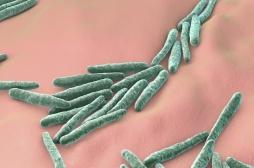 Antibiorésistance : quand les virus aident à tuer… les bactéries