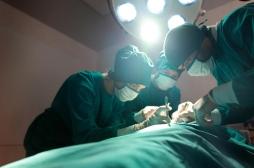 Chirurgie bariatrique : le risque de décès est beaucoup plus important chez les hommes