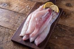 Rappel de poisson : comment éviter de contracter la listériose ?