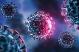 Que sait-on sur Cicada, ce nouveau variant de la Covid-19 ? 