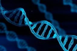 TDAH : 27 mutations génétiques identifiées pour ce trouble neurodéveloppemental