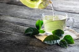 Fibrome utérin : un composé du thé vert pourrait aider à le traiter 