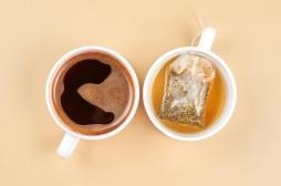 Cerveau : boire un peu de café ou de thé protège du déclin cognitif