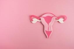 Cancer de l'ovaire : les troubles digestifs fréquents doivent vous amener à consulter