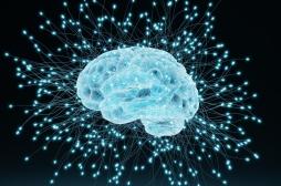 Cerveau : pourquoi nos souvenirs changent avec le temps ?