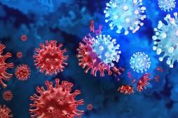 Covid-19 : l'immunité aux variants dépend des infections précédentes