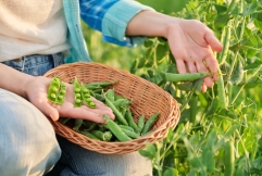 Inflation : comment continuer à manger sain malgré la hausse des prix ? 