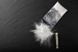 Cerveau : comment la dépendance à la cocaïne se met-elle en place ? 