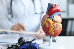 Comment les microplastiques peuvent atteindre les tissus cardiaques 