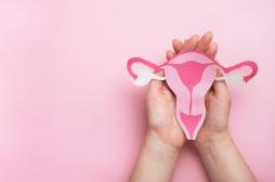 Infertilité féminine : un gel permet de restaurer l'endomètre