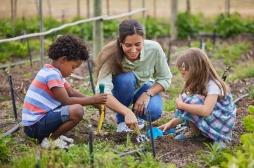 Jardiner à l’école réduit la glycémie et le cholestérol des enfants