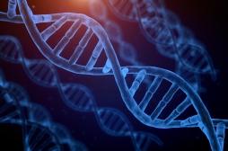 1 personne sur 25 serait porteuse d'un génotype associé à une durée de vie raccourcie 