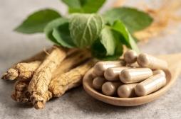 Diabète : peut-on faire baisser la glycémie grâce aux plantes ?