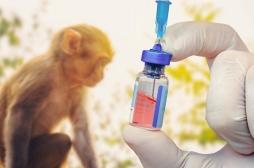 Zoonose : 4 virus transmis par les animaux tueront 12 fois plus d’ici 2050