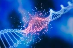Parkinson : cette mutation génétique protège de la maladie