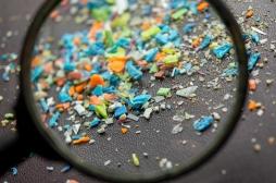 Les microplastiques peuvent-ils provoquer des réactions allergiques ?