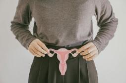 Syndrome des ovaires polykystiques : une insensibilité à l'œstradiol en cause ?