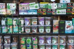 Produits au CBD : gare au risque d’intoxication !