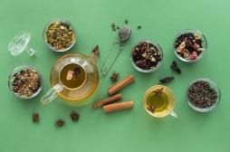 Les 6 meilleurs thés pour perdre du poids