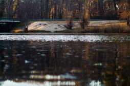 Amibe tueuse résistante au chlore : faut-il s’inquiéter ?