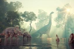 Et si les dinosaures nous aidaient à guérir le cancer...