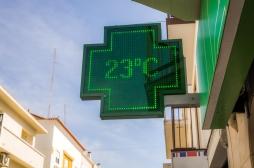 Fin de la canicule : quels effets sur l’organisme ?