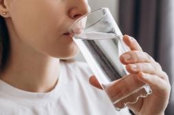 Les microplastiques dans l'eau potable affectent le comportement et l'immunité