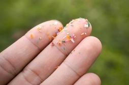 Des microplastiques dans le corps : un risque accru pour le foie ?