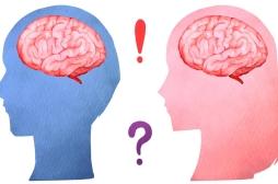 Le cerveau humain est-il genré ?
