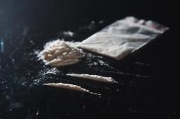 Comment la cocaïne détruit le cerveau