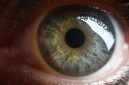 Risque de démence : un scanner oculaire alimenté par l’IA peut le prédire