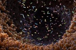 Intestin, bouche : de nouveaux agents infectieux découverts dans le corps humain