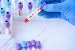 Choléra : la hausse des décès inquiète l’OMS 