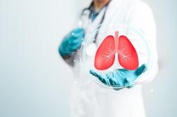 Des mini-poumons pour tester les médicaments de demain