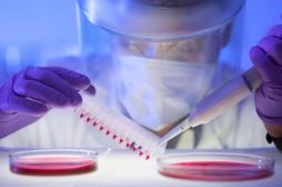 Cancer du sang : deux traitements anticancéreux révolutionnaires bientôt disponibles en France 