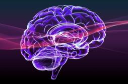 Son médecin lui diagnostique une dépression, c’était un cancer au cerveau 