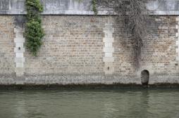 JO de Paris : la Seine serait encore dangereuse pour les athlètes !