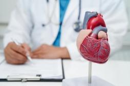 Infarctus, insuffisance cardiaque : un gène spécifique peut aider le cœur à se réparer