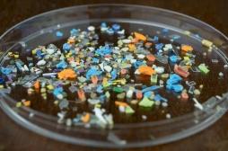 Maladies cardiaques : le rôle des microplastiques se précise