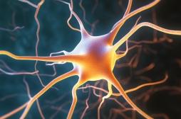 Sclérose en plaques : une étude mesure l’impact sur la qualité de vie