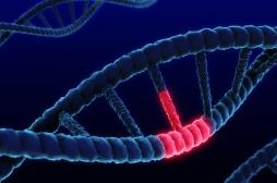 Troubles mentaux : et si c’était à cause des modifications d'un seul gène ? 