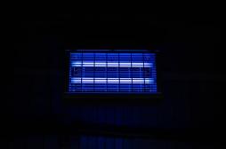 La lumière UV peut désactiver les allergènes en 30 minutes 