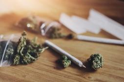 Cannabis : l’OMS alerte sur un nouvel effet secondaire