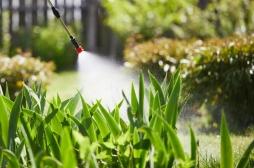 Explosion du cancer colorectal chez les jeunes : ce pesticide jugé sans risque peut-il l’expliquer ?