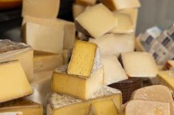 Les fromages artisanaux, des alliés pour votre santé intestinale ?