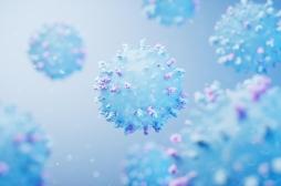 Certaines personnes ont un système immunitaire éternellement jeune 